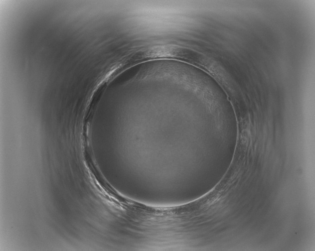 X0000063460386200601231424