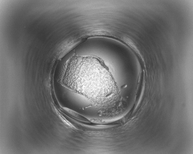 X0000063460389200601231424