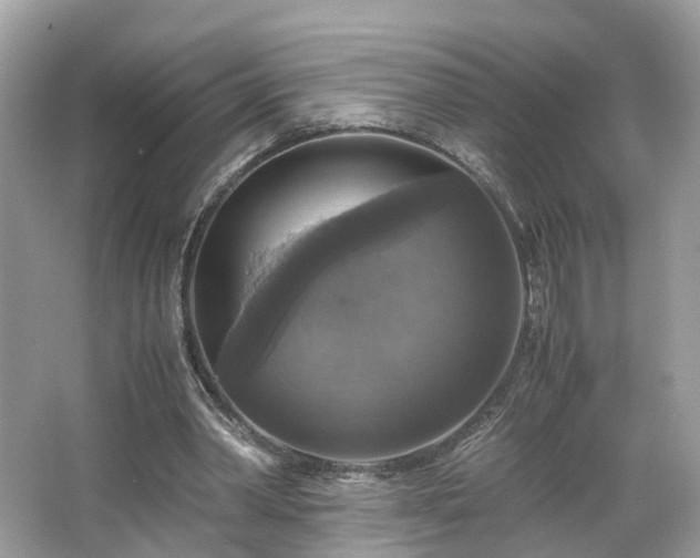 X0000063460390200601231424