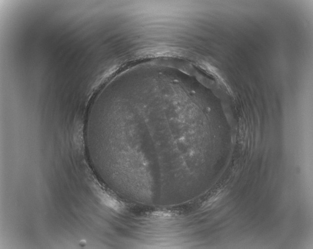 X0000063460394200601231424