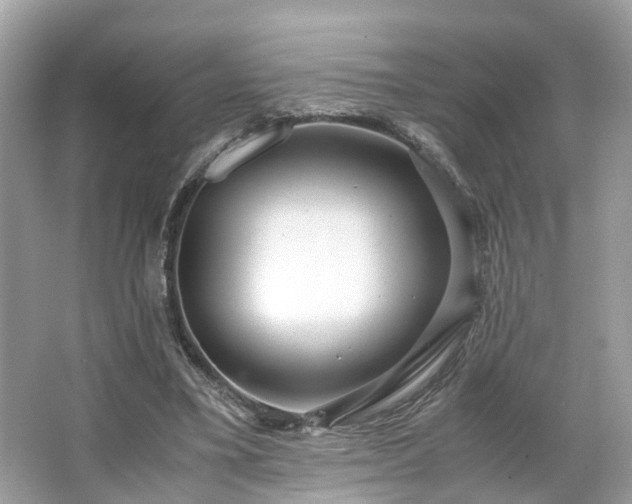 X0000063460395200601231424