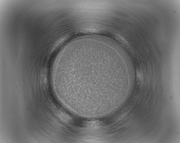 X0000063460396200601231424