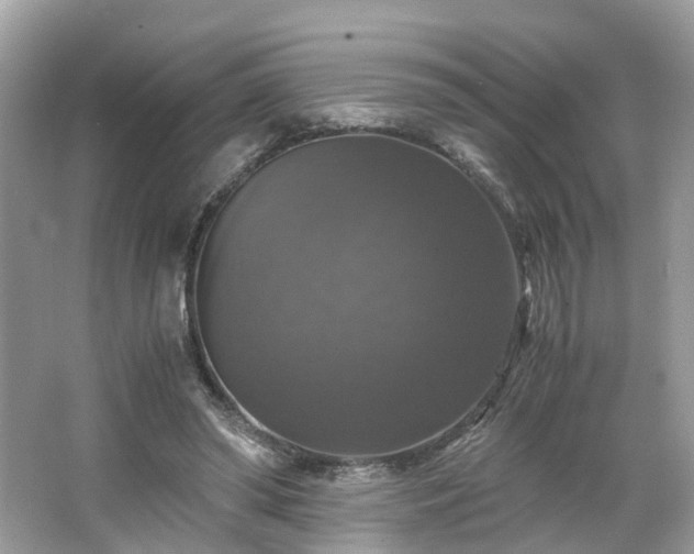 X0000063460398200601231424