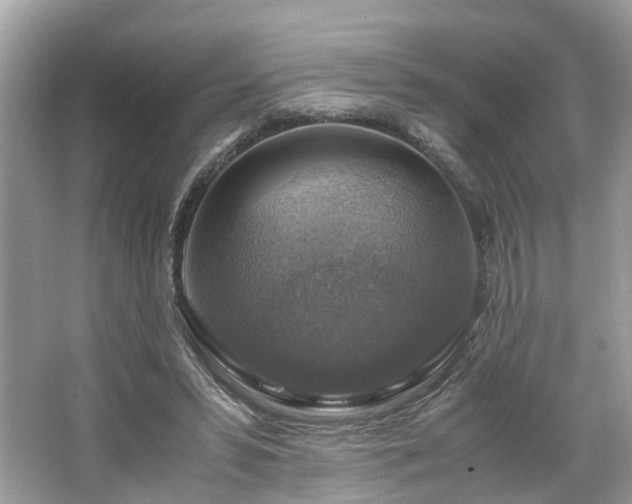 X0000063460399200601231423