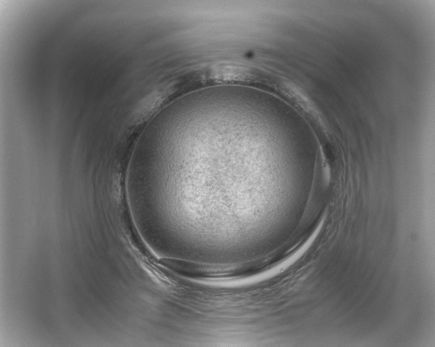 X0000063460401200601231423