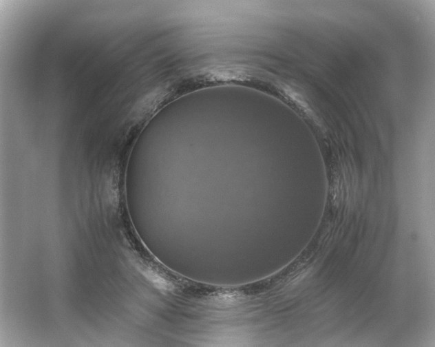 X0000063460402200601231423