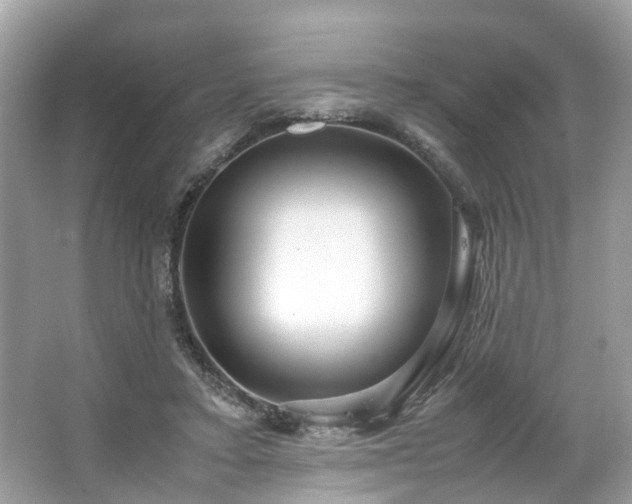 X0000063460403200601231423