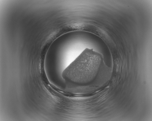 X0000063460404200601231423