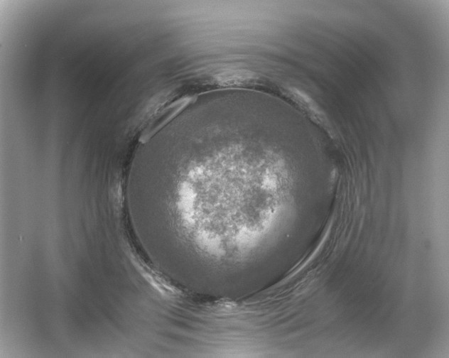 X0000063460405200601231423