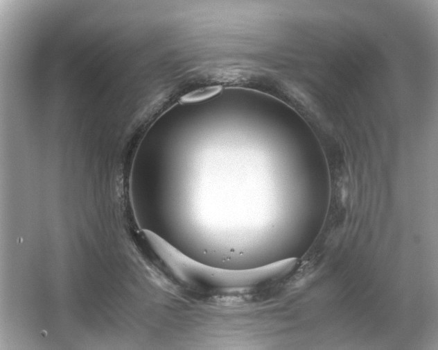 X0000063460407200601231423