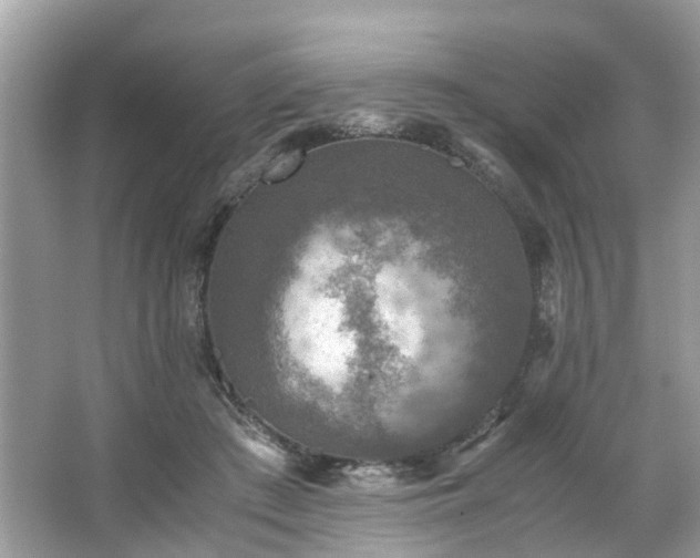 X0000063460409200601231423