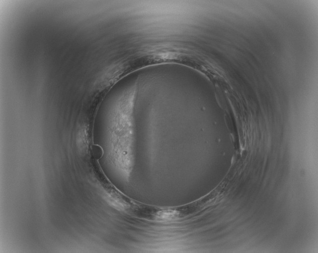 X0000063460410200601231423