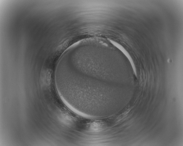 X0000063460412200601231423