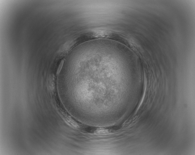 X0000063460413200601231423