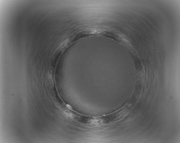 X0000063460415200601231423