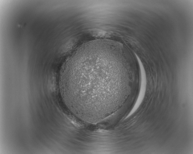 X0000063460416200601231423