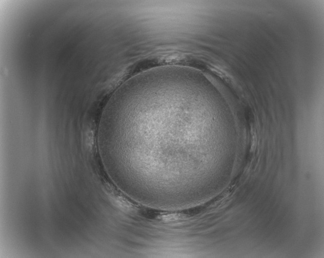 X0000063460417200601231423