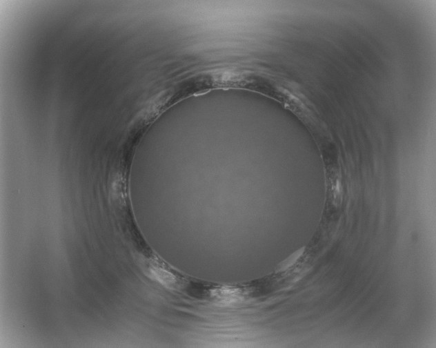 X0000063460419200601231423