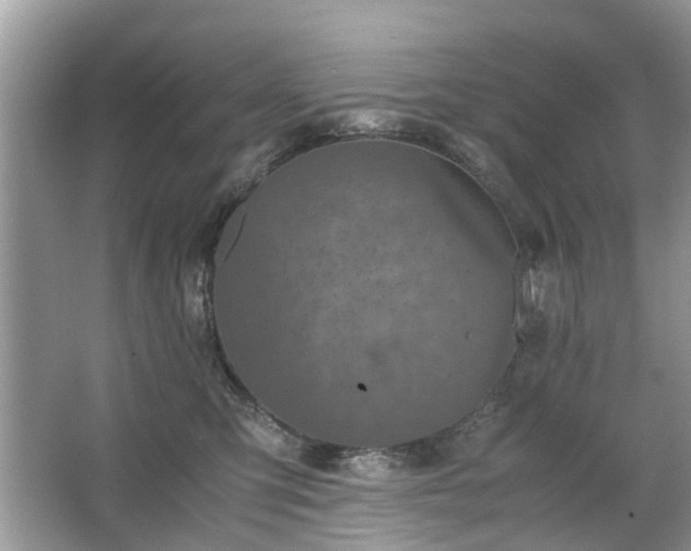 X0000063460423200601231423