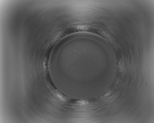 X0000063460424200601231423