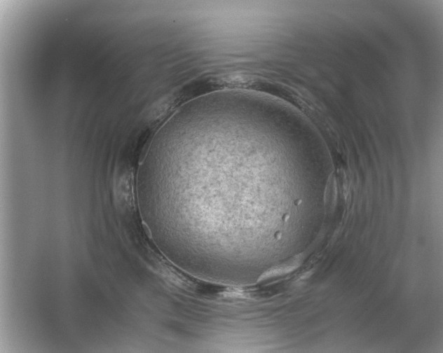 X0000063460425200601231423