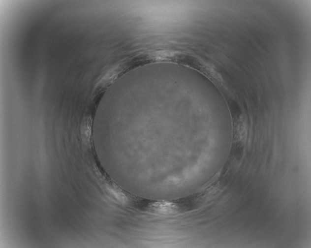 X0000063460427200601231423