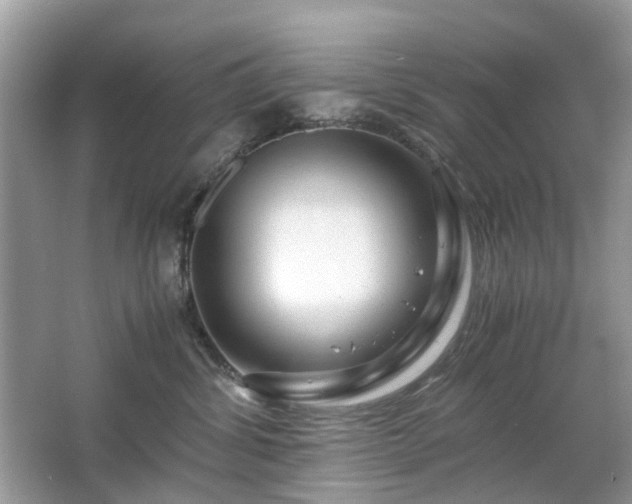 X0000063460428200601231423