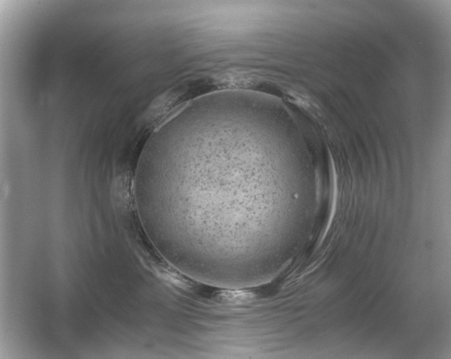 X0000063460429200601231423