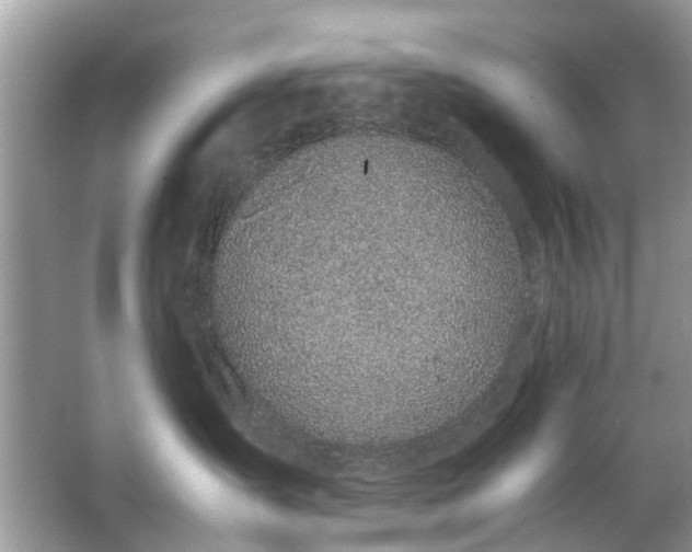 X0000063460431200601231423