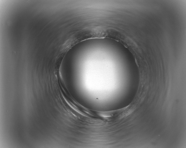 X0000063460432200601231423