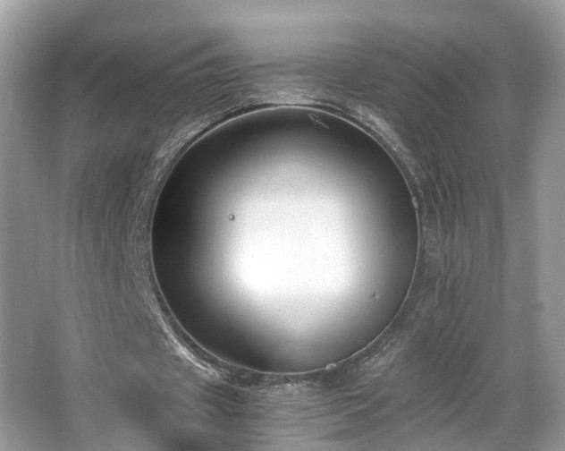 X0000063460433200601231422