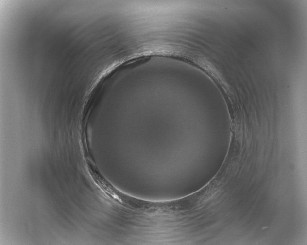 X0000063460434200601231422