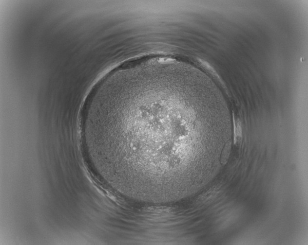 X0000063460435200601231422