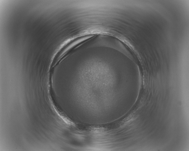 X0000063460438200601231422