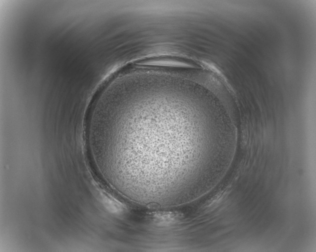 X0000063460439200601231422