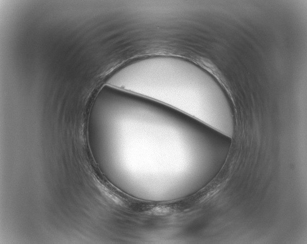 X0000063460441200601231422