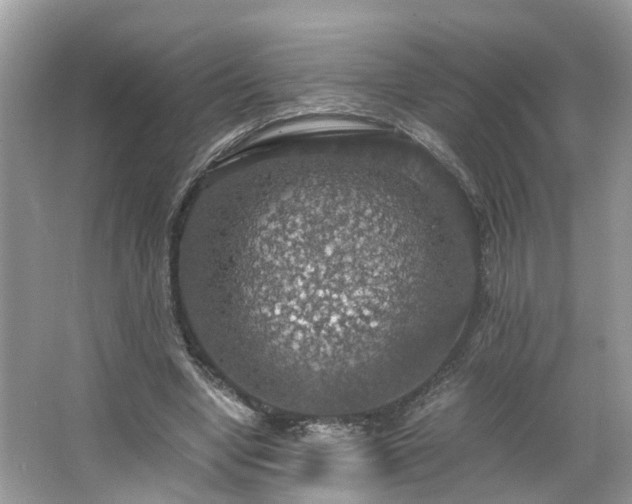 X0000063460442200601231422