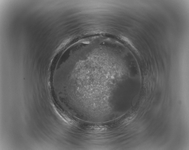 X0000063460443200601231422