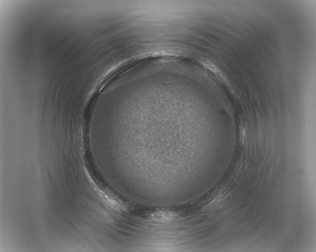 X0000063460444200601231422