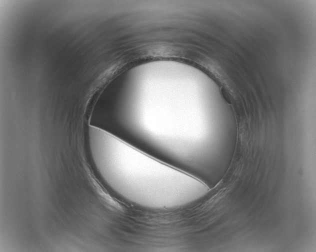 X0000063460445200601231422