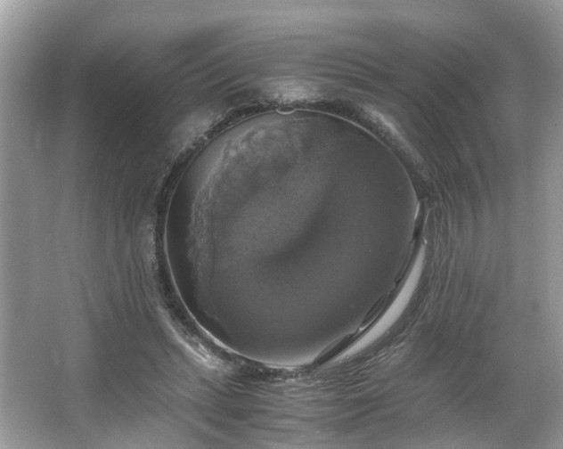 X0000063460447200601231422