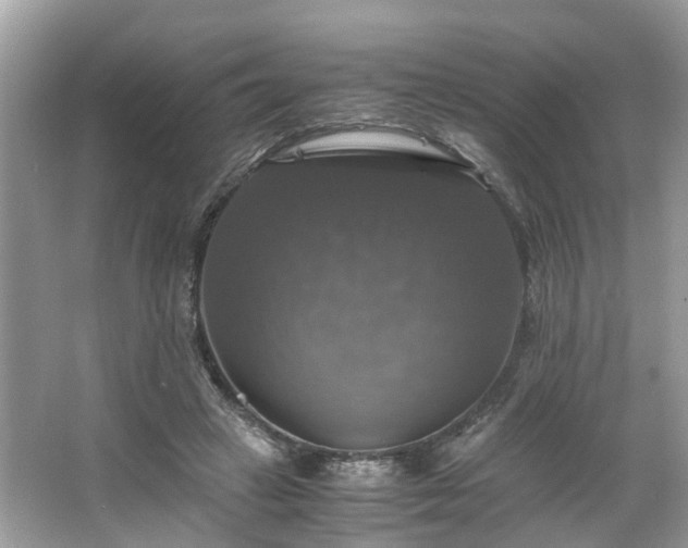 X0000063460449200601231422