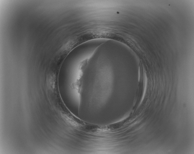 X0000063460458200601231423