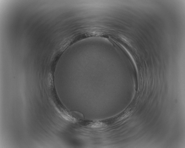 X0000063460459200601231423