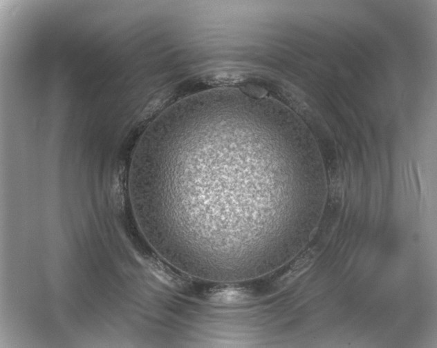 X0000063460460200601231423