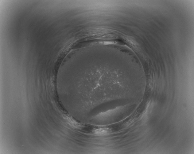 X0000063460461200601231423