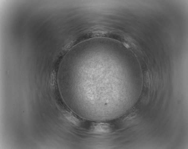 X0000063460463200601231423