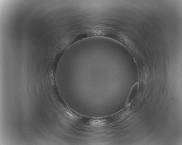 X0000063460465200601231423