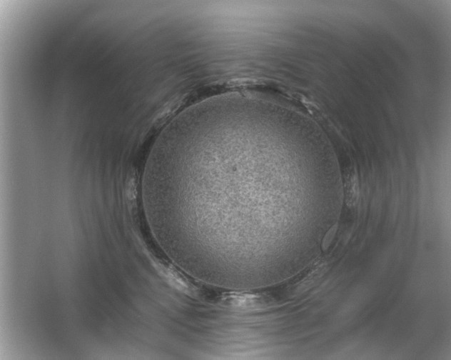 X0000063460472200601231423