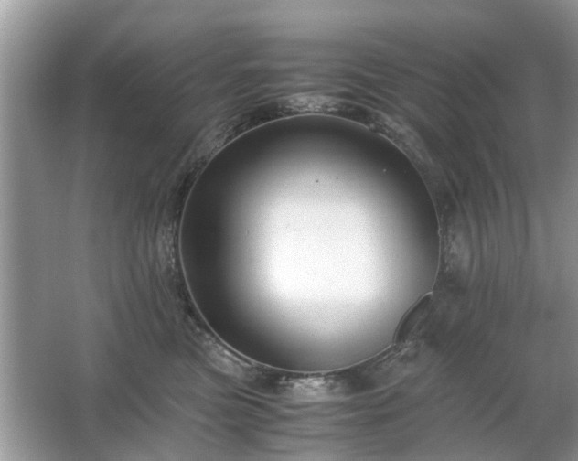 X0000063460473200601231423